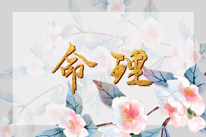 农历日历2026年完整版,农历查询2026年黄历表,详细农历查询